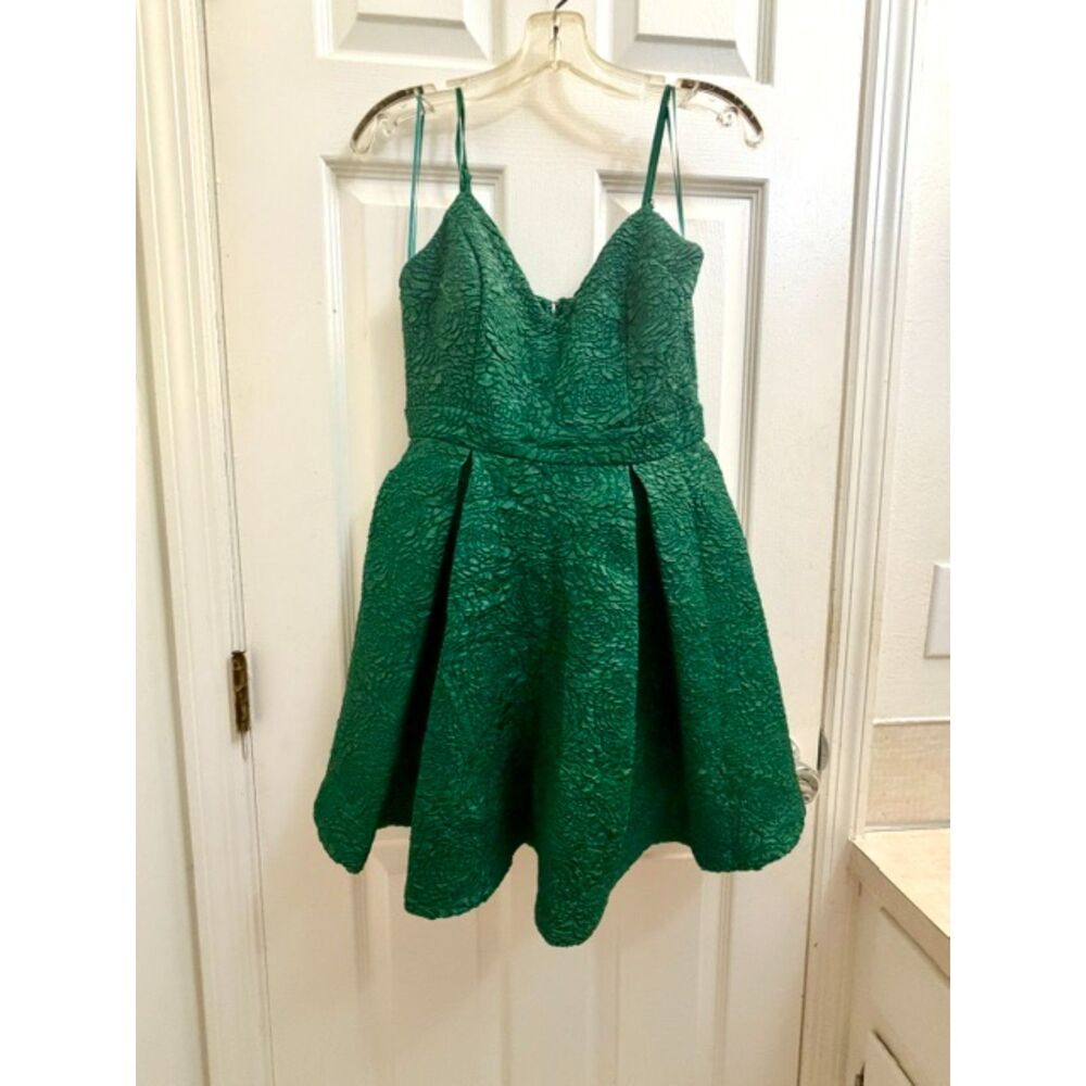 Audrey Parks x Francesca's Holiday Jacquard Floral Skater Dress with Pockets